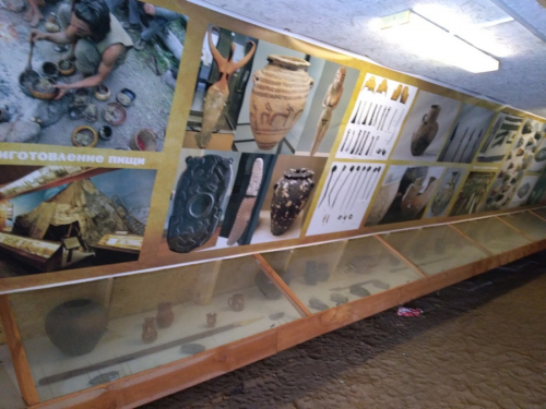 Музей Палеонтологии
